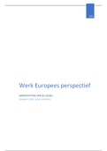Werk in Europees Perspectief
