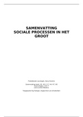 Sociale processen in het groot sv hc's + boek