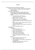 Study Guide 4