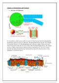 Chapter 4: Cell Membranes and Transport by M.Umair