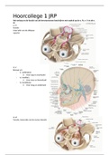 aansturing van extra-oculaire spieren en de fysiologie van oogbewegingen, deel 1
