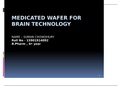 Wafer for brain technology