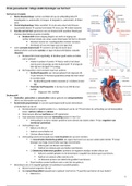 Uitwerking college electrofysiologie van het hart