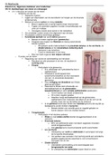 Samenvatting boek de nierfunctie onderdeel 6 orale geneeskunde