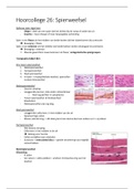 Hoorcolleges en zelfstudies Spierweefsels (HC 26-28)
