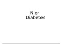 Nieren en diabetes