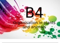 Biology 4 - Organisation in Plants and Animals.