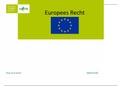 Europees Recht Sheets werkcolleges inclusief aantekeningen