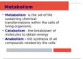 Metabolism