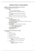 Biol 2222- Anatomy II- All Exams Bundle Clemson