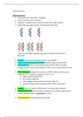 Genetics Final Exam Study Guide