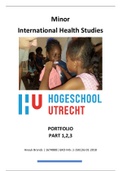 Portfolio- part 1,2,3. Minor International Health Studies (IHS)