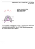 Generalidades respiratorias