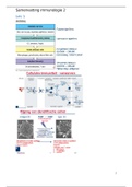 Samenvatting immunologie leerjaar 2 HLO deel 2