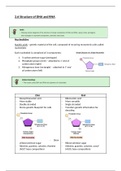2.6 Structure of RNA and DNA - Study Notes (Biology)