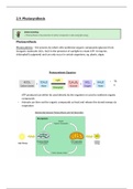 2.9 Photosynthesis - Study Notes (Biology)