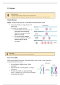 3.3 Meiosis - Study Notes (Biology)