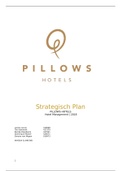 Strategisch plan Pillows