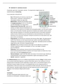 Celbiologie 2 samenvatting / Molecular biology of the cell 2 summary
