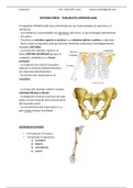 Apuntes Anatomia sistema oseo