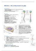 BA1A.4 – HC.2 Neuronen en glia