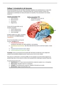 Samenvatting Neurobiologie 18/19