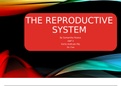 Reproductive system research power point 