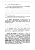 HISTORIA DE ESPAÑA: ALANDALUS: REINOS DE TAIFAS Y REINO NAZARI TEMA 2