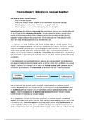 Samenvatting Sociaal Kapitaal en Netwerken Vrije Universiteit Amsterdam