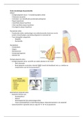 College orale microbiologie bij parodontitis