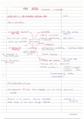 PRS2026- Complete summary! Mindmaps of all work covered. Exam study notes
