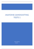 Periode 1 Anathomie & Pathologie samenvattingen 