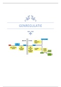Samenvatting Genregulatie (college aantekeningen + boek)