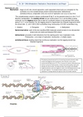 Biochemistry Ch 28 DNA Metabolism Replication, Recombination, and Repair