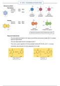 Biochemistry Ch 10, 11 Nucleotides and Nucleic Acids