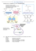 Biochemistry Ch 6 Secondary Tertiary and Quaternary Structure