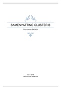 Samenvatting Cluster B