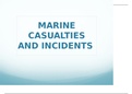 MCI ( Maritime Casualties and Incidents)