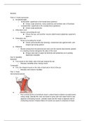 Health Science I - Human Physiology and Anatomy I #4
