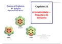 Materia de quimica organica 1, completa em slides didaticos