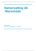 Samenvatting A6 - Nierschade