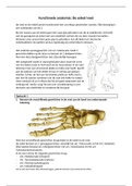 Functionele Anatomie 2: Enkel/voet