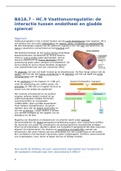 BA1A.7 – HC.9 Vaattonusregulatie- de interactie tussen endotheel en gladde spiercel
