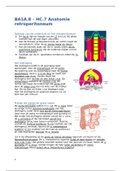 BA1A.8 – HC.7 Anatomie retroperitoneum