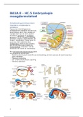 BA1A.8 – HC.5 Embryologie maagdarmstelsel