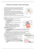 Biomedische wetenschappen - Cardiovasculaire fysiologie