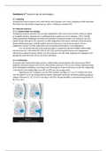 Samenvatting Leerboek Oncologie, Van de Velde Hoofdstuk 27 Tumoren van de urinewegen