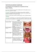 Samenvatting orale pathologie en kaakchirurgie: jaar 2
