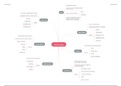 M&O Mindmap DESTEP-Analyse