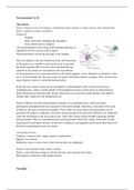 Introduction Neuroscience